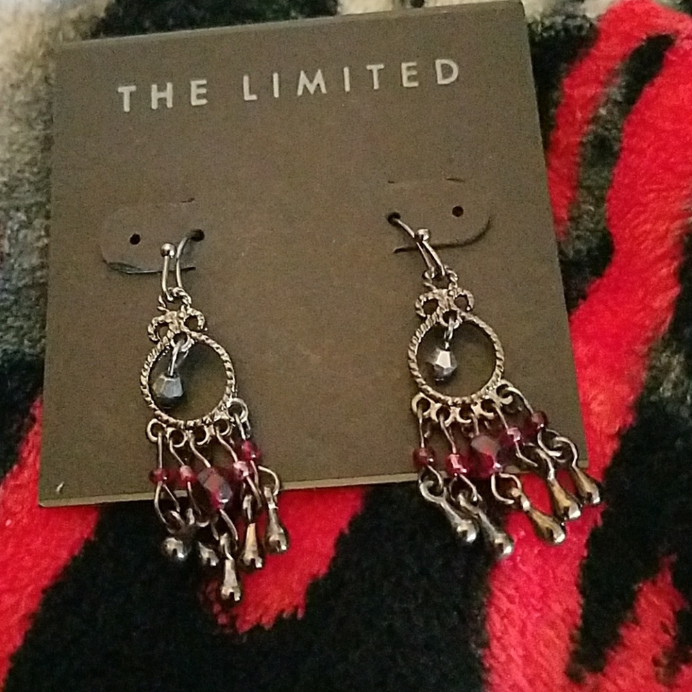 NWT Fashion Earrings
