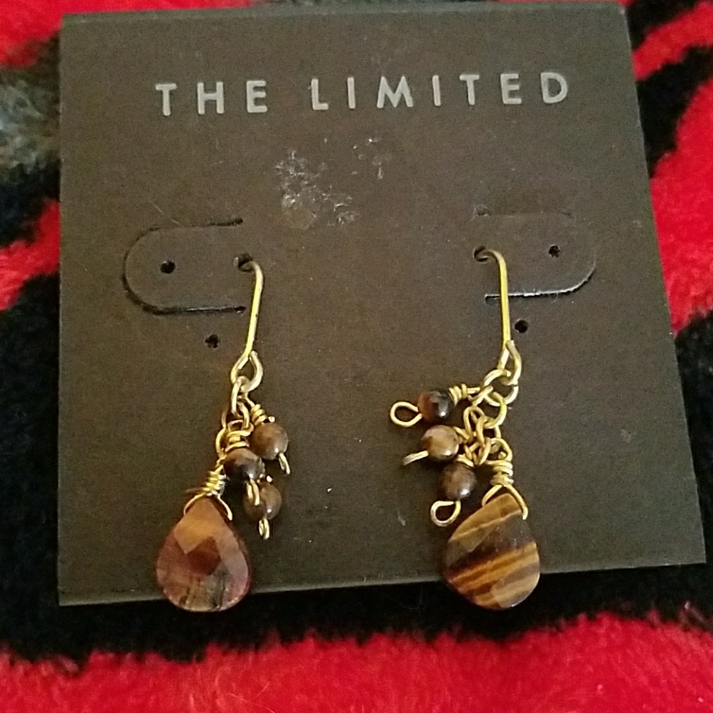 NWT Fashion Earrings