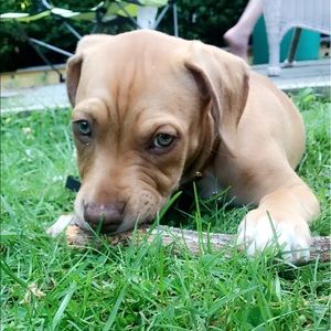 Meet your Posher, Seth