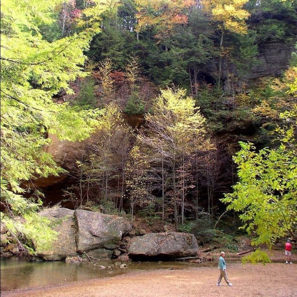 FALL CLEARANCE 🍁🍁🍁🍂🍂