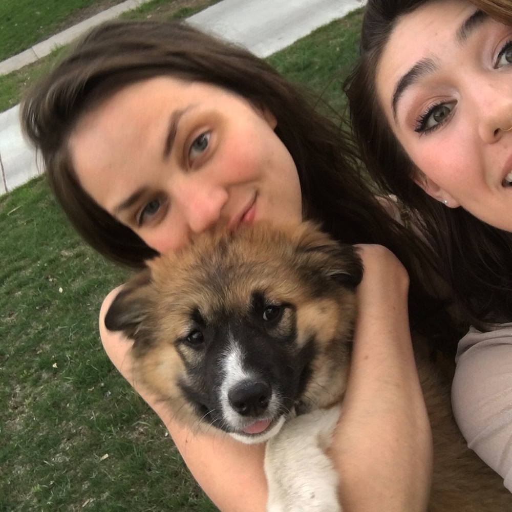 Meet your Posher, Chandler