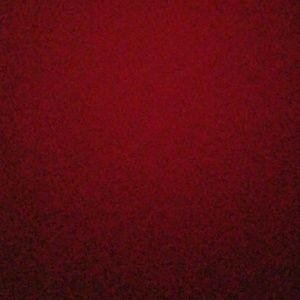 Meet your Posher, Moises