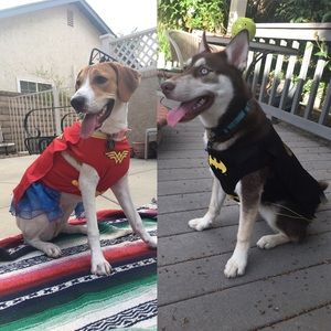 Meet your Posher, Annie