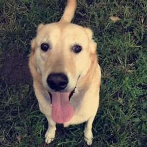 Meet your Posher, Travis