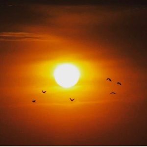 Meet your Posher, Cecil