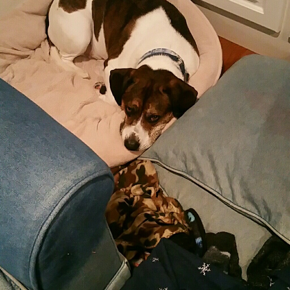 Meet your Posher, Tarra