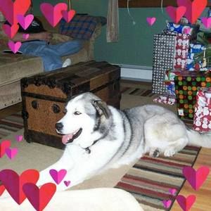 Meet your Posher, Donna