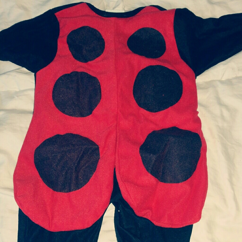 Lady bug costume