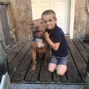 Meet your Posher, Jimmy