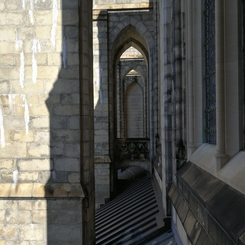 Meet your Posher, Lily