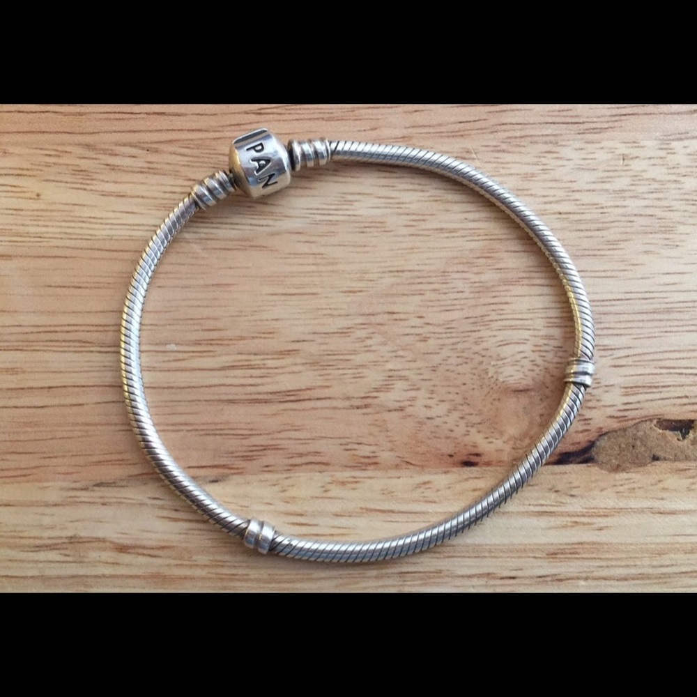 Pandora bracelet and charm