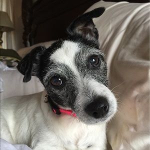 Meet your Posher, Tammy