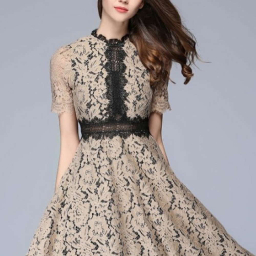 VICKY & LUCAS Khaki & Black Lace Fit & Flare Dress