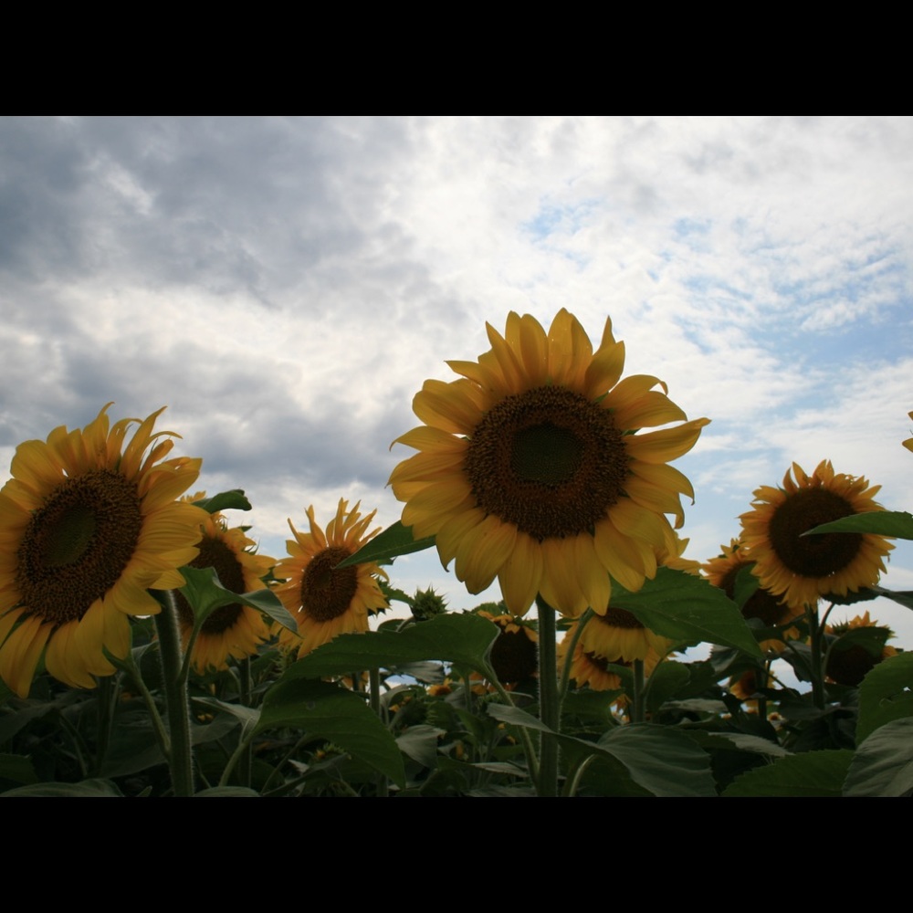 Meet your Posher, Marita