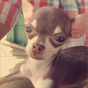 Meet your Posher, Karina