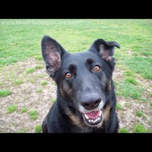 Meet your Posher, Rebecca