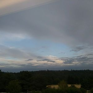 Meet your Posher, Dawn