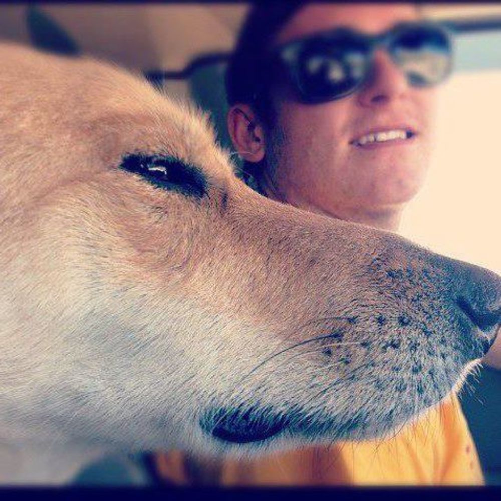 Meet your Posher, Jay