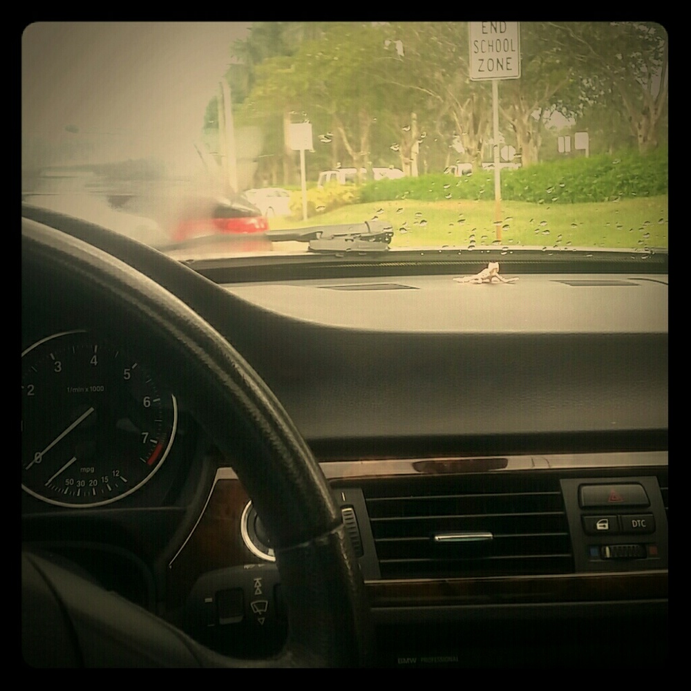 FLORIDIAN! HURRICANE IRMA! PENDING SALES!