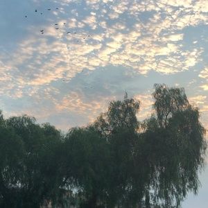 Meet your Posher, Mina b