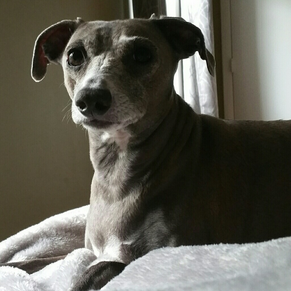 What are you waiting for?! Make my mommy an offer!