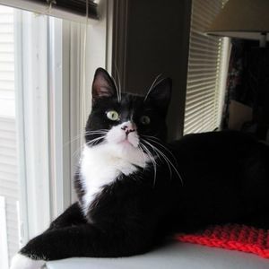 Meet your Posher, Betty