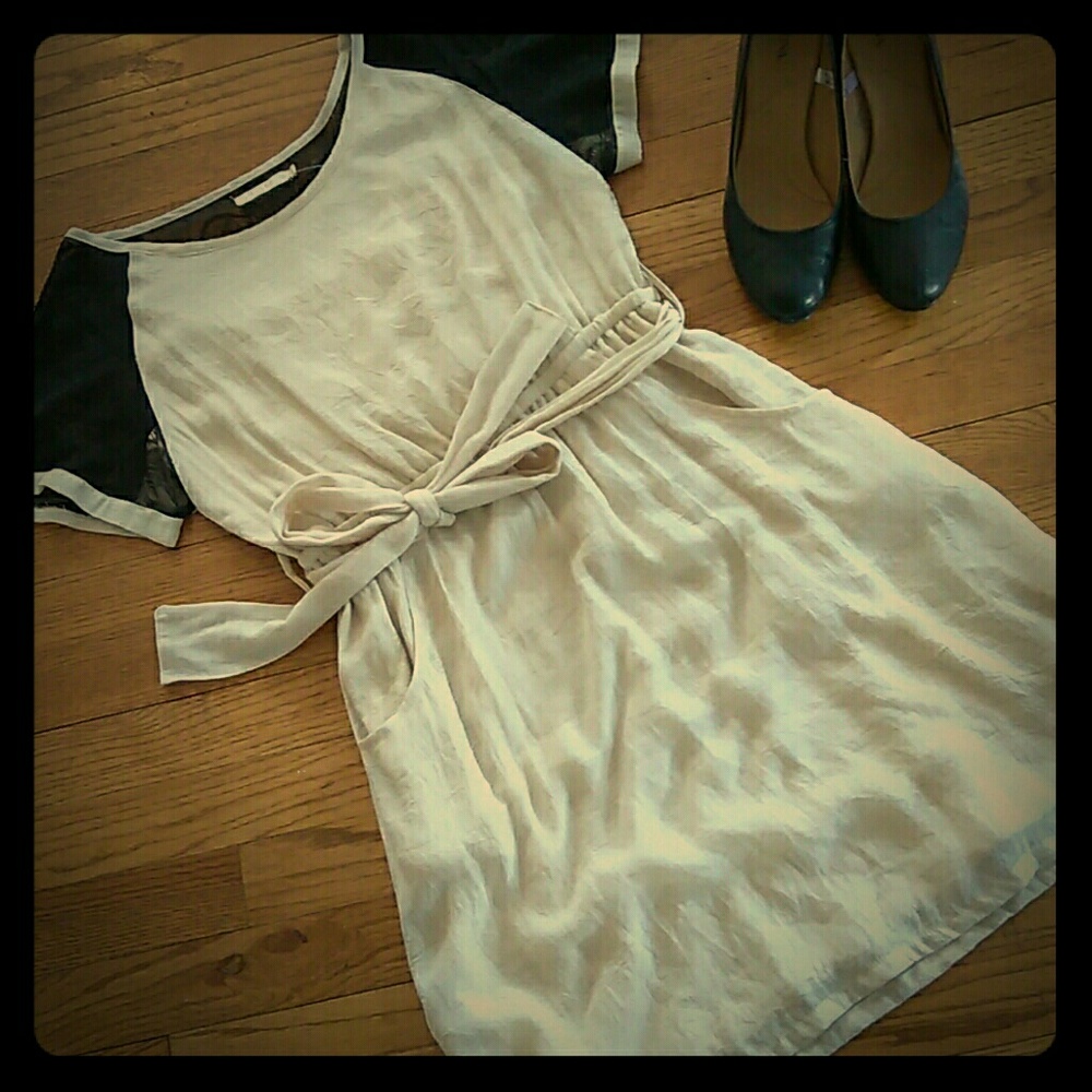NWT: Tulle cream and black dress