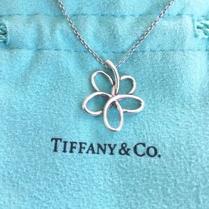 Paloma Picasso Tiffany & Co. Necklace