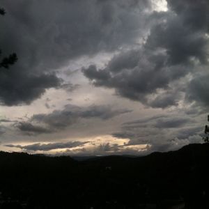 Meet your Posher, Brad