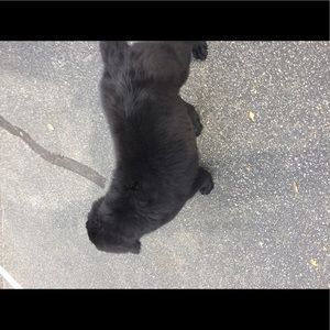 Meet your Posher, Porter