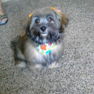 Meet your Posher, Cori ann