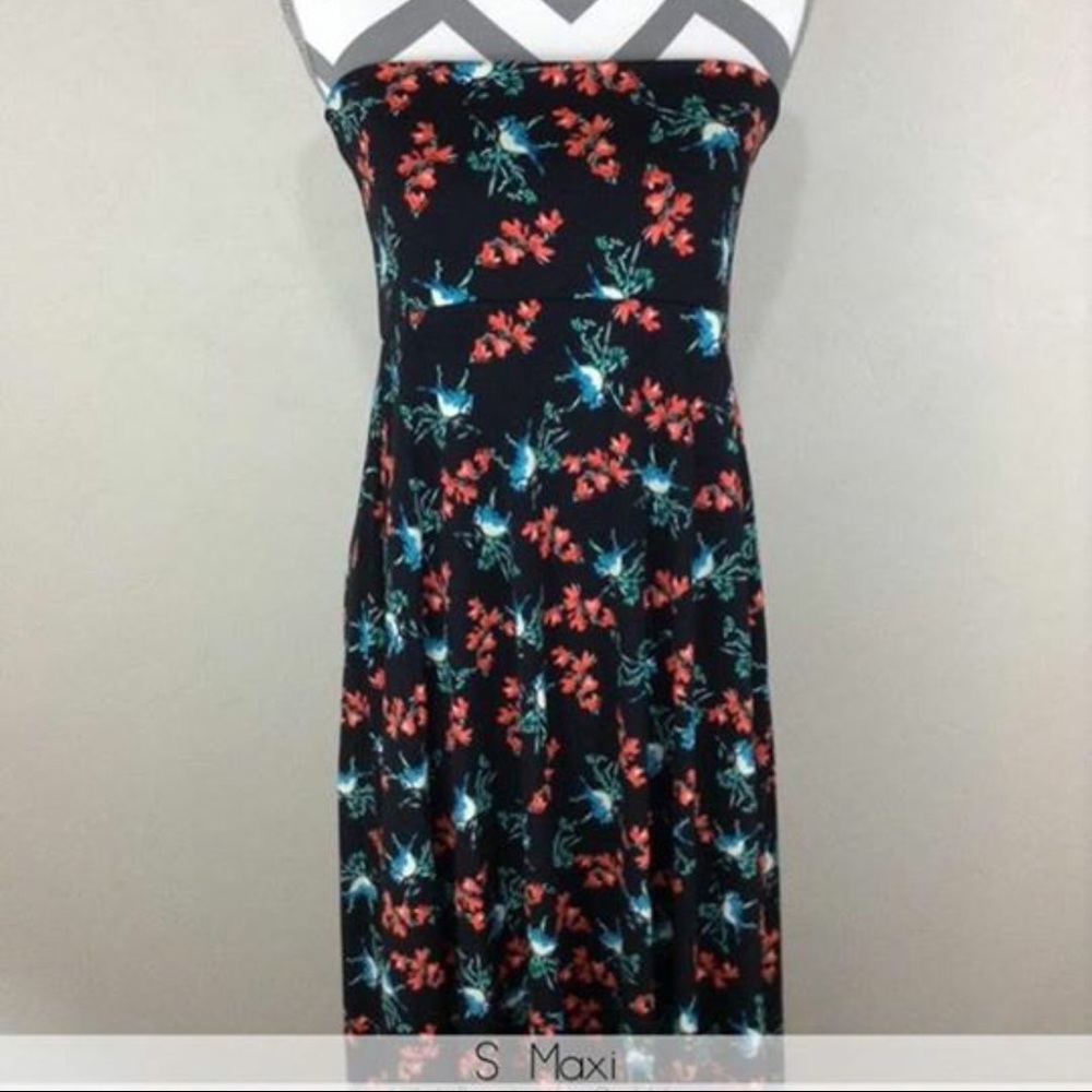 Lula Roe Maxi skirt/dress