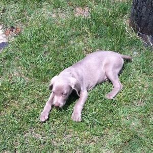 Meet your Posher, Aletha