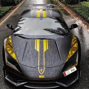 Meet your Posher, Logan