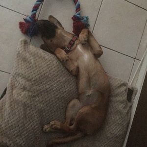 Meet your Posher, Nancy