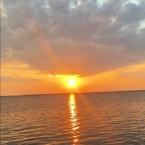 Meet your Posher, Gabby