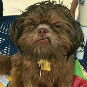 Meet your Posher, Tina