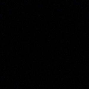 Meet your Posher, Najareeh