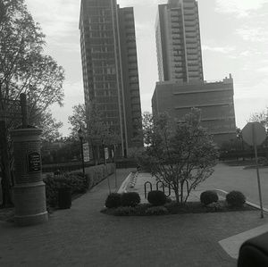 Meet your Posher, Will