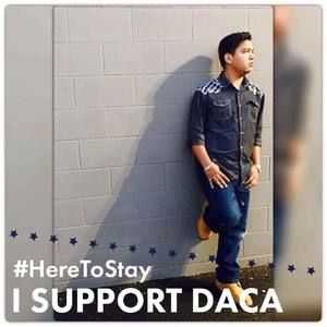 Meet your Posher, Hector