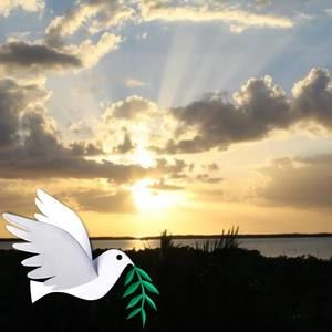 Meet your Posher, Bonnie