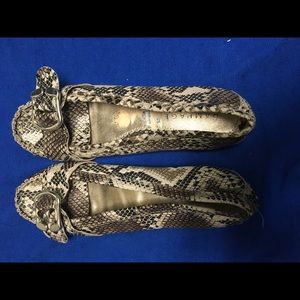 Snake Print Loafers
