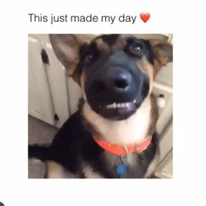 Meet your Posher, Ella