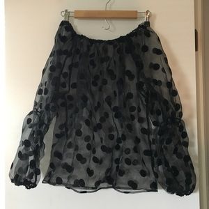 Sheer Top with Puff Sleeves