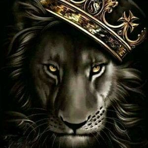 Meet your Posher, Kymberly