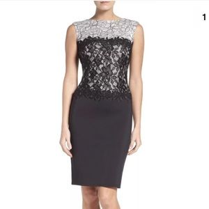 Tadashi shoji lace sheath embroidered dress Sz 14