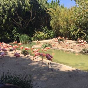 Meet your Posher, Smitha