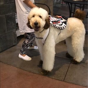 Meet your Posher, Jingjing