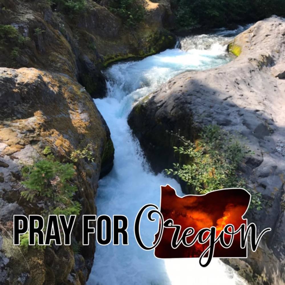 Meet your Posher, Alesha