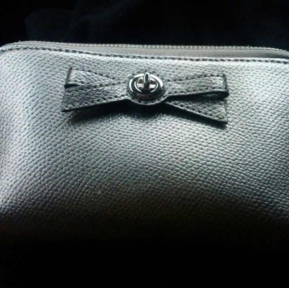 Coach Makeup or Travel Case